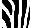 Post image for Excel Conditional Formatting Zebra Stripes